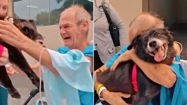 Patient Miraculously Recovered After Being Reunited With His Furry Companion At The Hospital